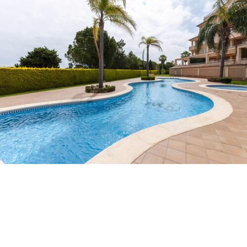 Buganvilla