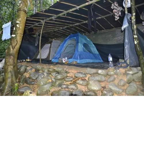 Bukit Lawang Glamping & Jungle Trekking