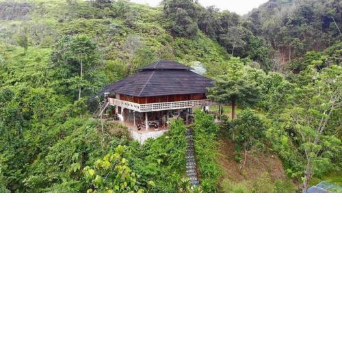 Bukit Lawang Hill Resort