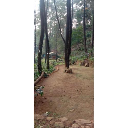 Bukit madu camping ground & ECO park