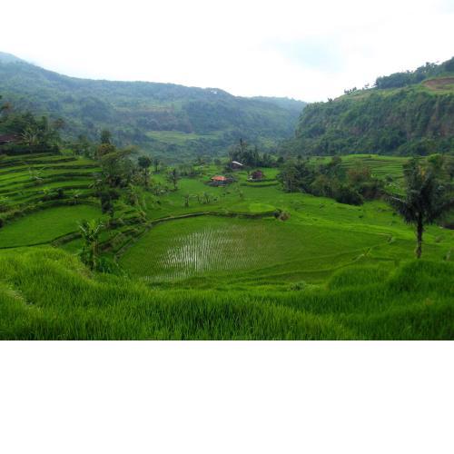 Bule Homestay Cianjur