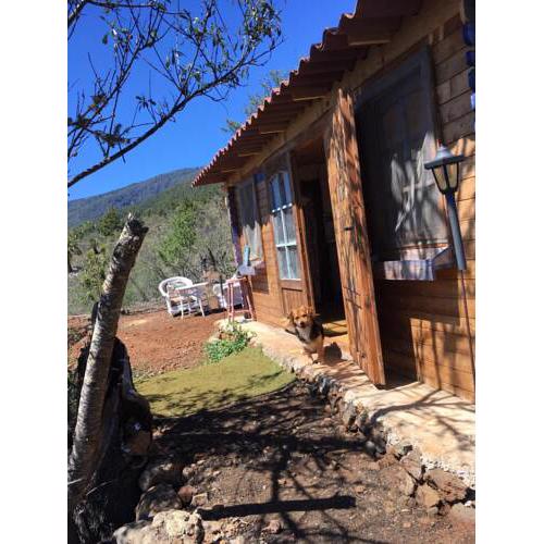 Bungalow AbraCaRiBes