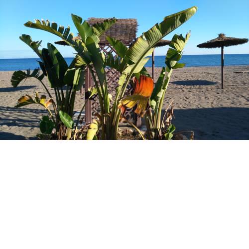 Bungalow Aloha Paraíso