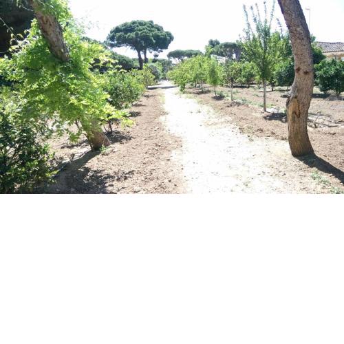 Bungalow para quienes buscan tranquilidad