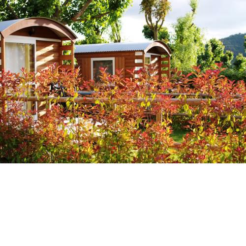 Bungalows - Càmping El Solsonès