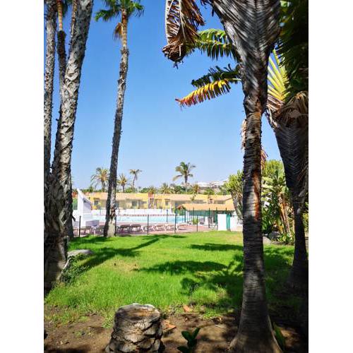 Bungalows Playa Flor Apartamento