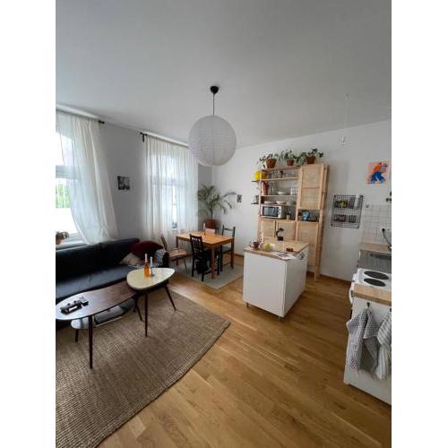Buntes Retro Apartment II