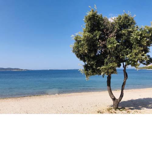 Buqez Beachvilla Nr.9