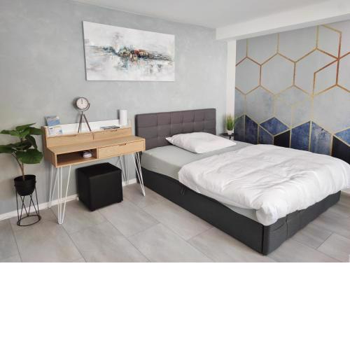 Business Style Apartment Ludwigshafen *Free Parking and WiFi*