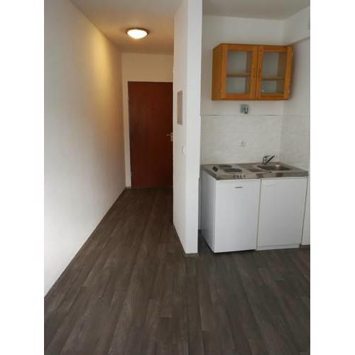Business/holiday Apartment Mainz Downtown