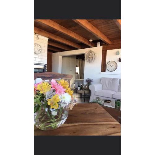 Butterfly Suite