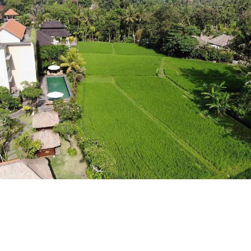 Byasa Ubud