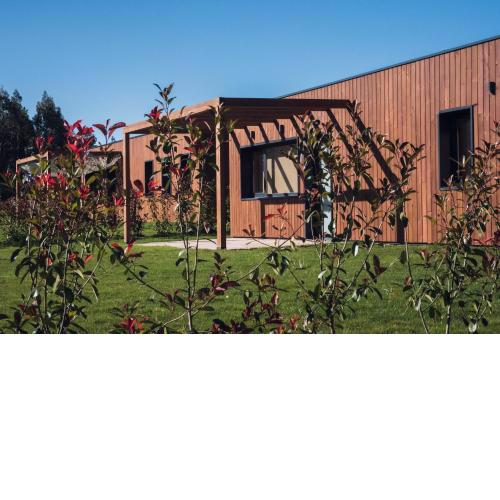 Cabañas Beche Eco-Camp