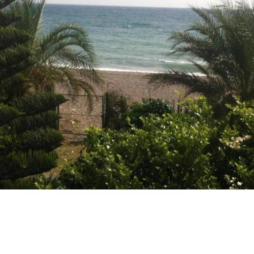 Cabañas Junto Al Mar