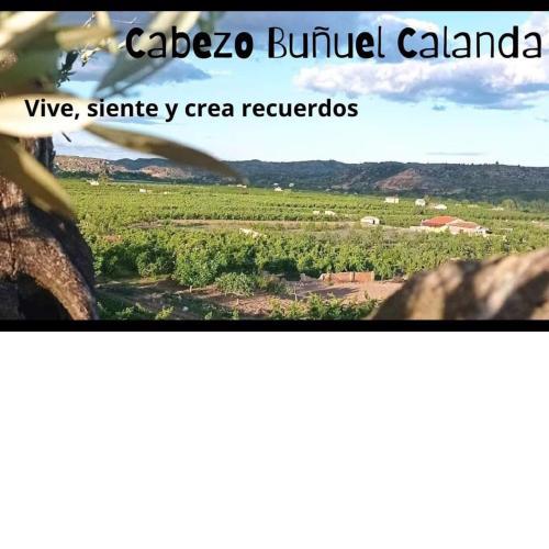 Cabezo Buñuel