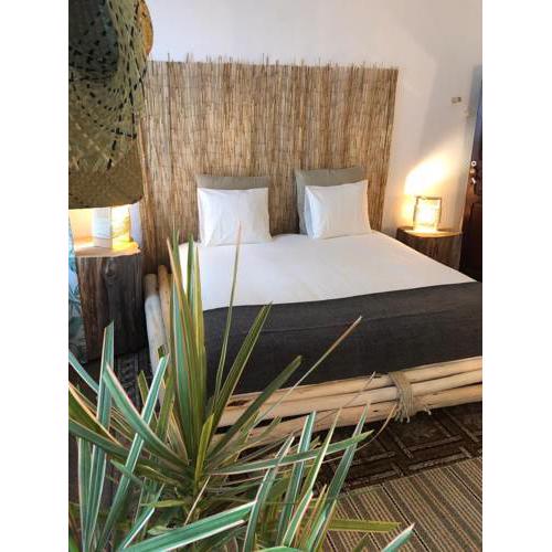 Cactus Host