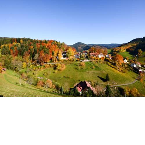 Café Pension Waldfrieden