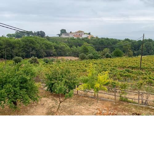 Cal Mag farmhouse in Guardiola de Font-rub