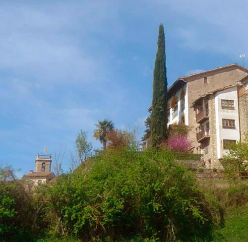 CAL TÒFONES, Baixos 2. Allotjament turístic a Borredà