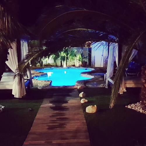Calafat Palms
