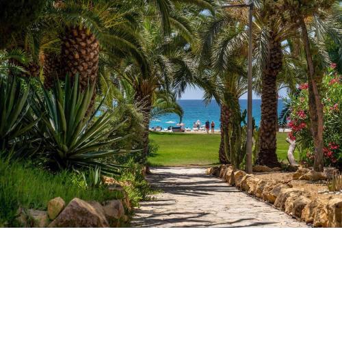 Caleta Apartment