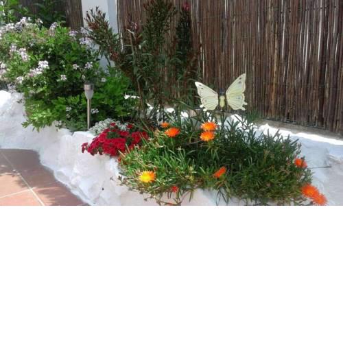 Calle Primavera Bed and Breakfast