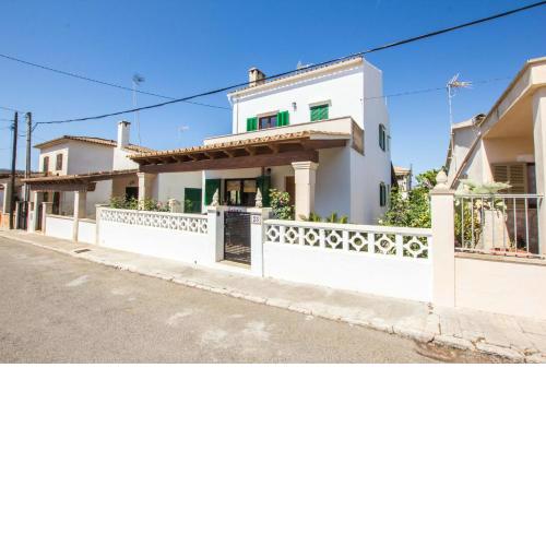 Camelia - Sa Rapita
