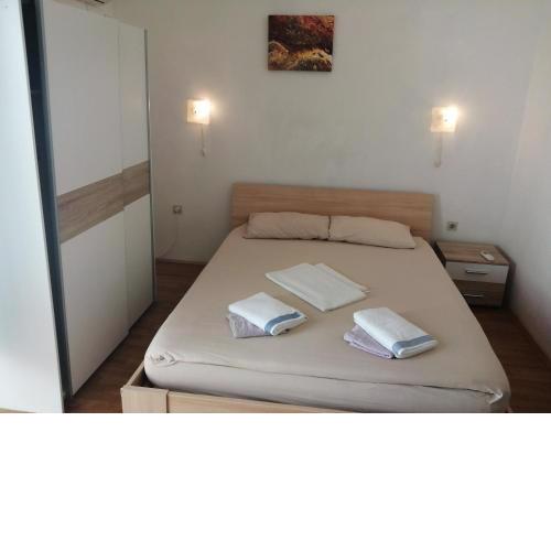 camelia rooms