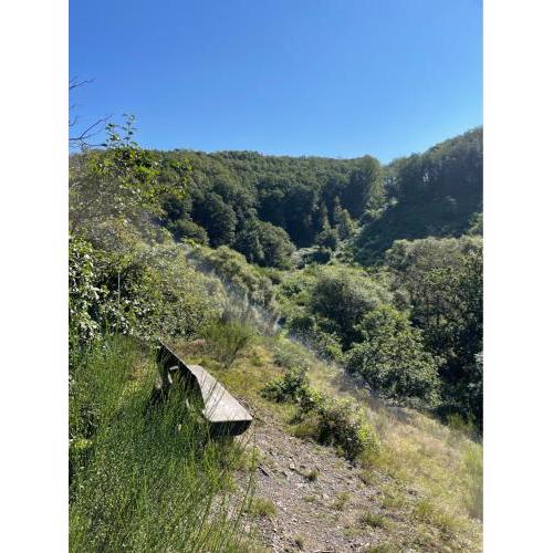 Camping Drei Spatzen