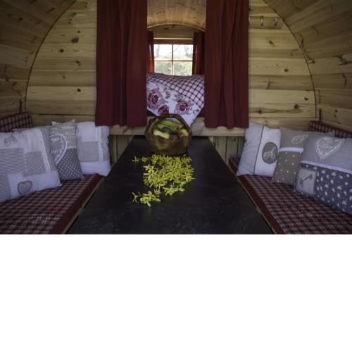 Camping-Erbenwald