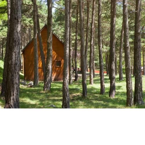 Camping Fontfreda