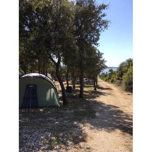 Camping Sugar