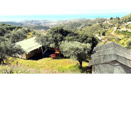 Campo Agave Luxury Tents