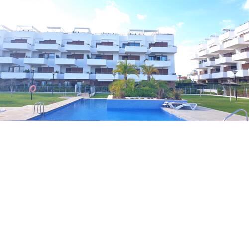 Campo de Lirio