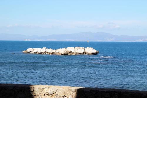 Can Manassa