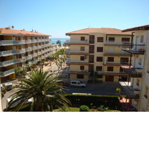 Canarias CAMBRILS