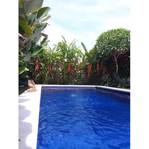 Canggu Villa 3 bedrooms (with kids bedroom), swimming pool and garden