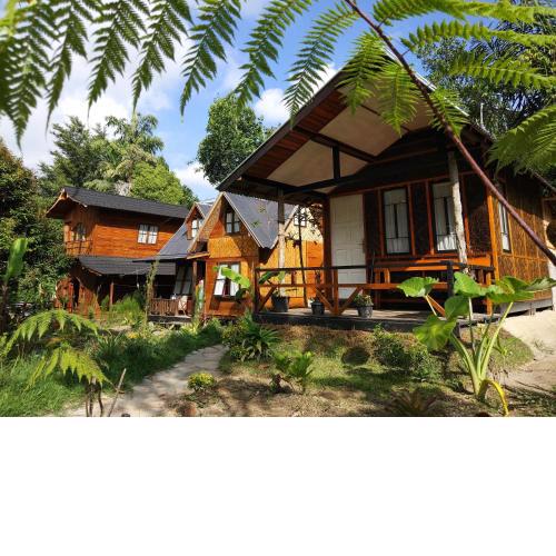 Canyon Jungle Stay