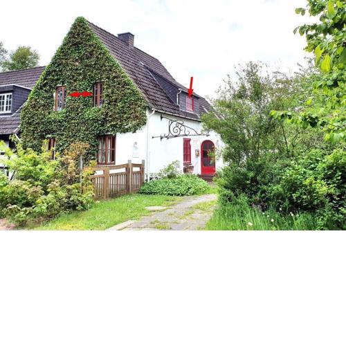 Carl 7 - ruhig, bezaubernd, eigen