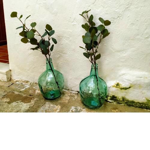 Carola GuestHouse