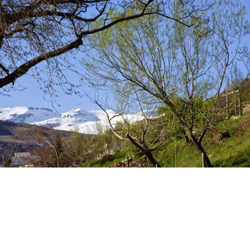 Casa Alpujarra