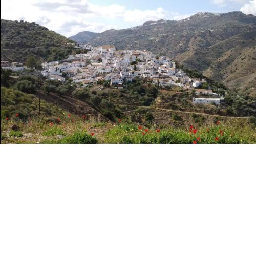 Casa Alta