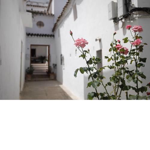 CASA AMARO