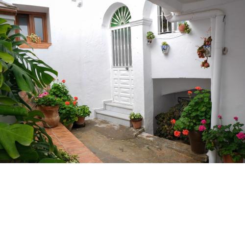 Casa Ana céntrica solo para familias y parejas