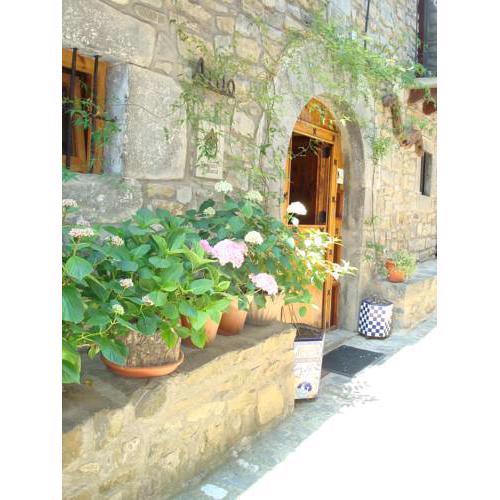 Casa Artio