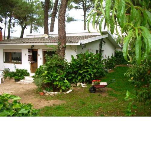 CASA AVENTURA II