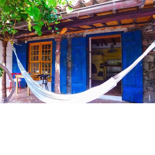 Casa Avocado