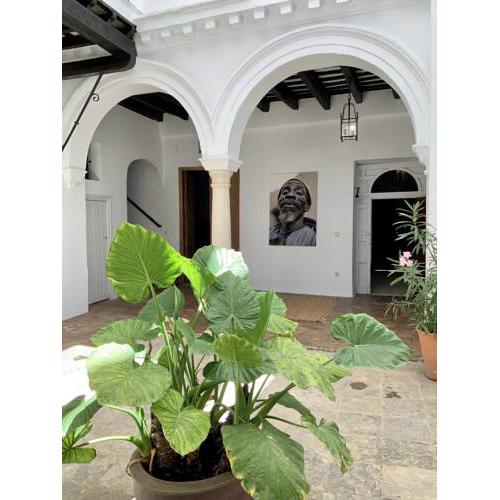 Casa Bablou