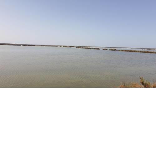 Casa Botica - Sanlucar de Barrameda