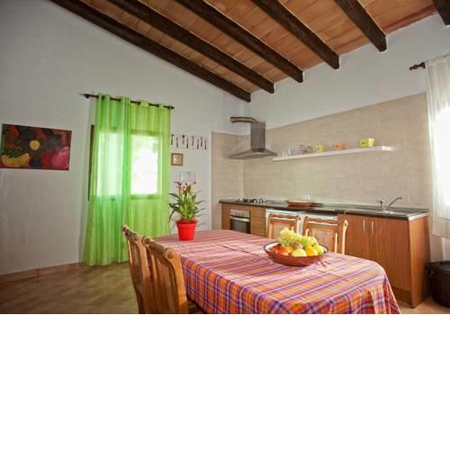 casa david